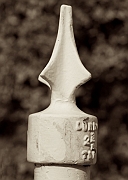 Wall_Art_Alphabet_Photography_Art_ 894